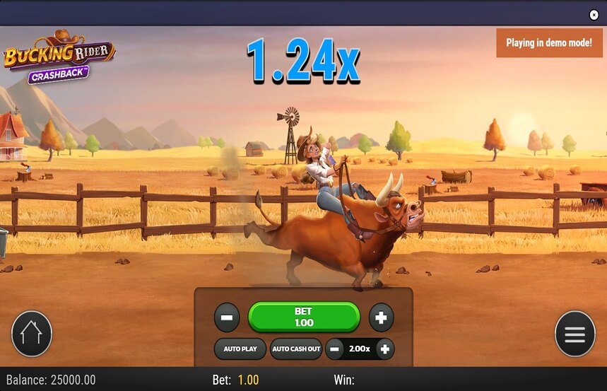 Bucking Rider