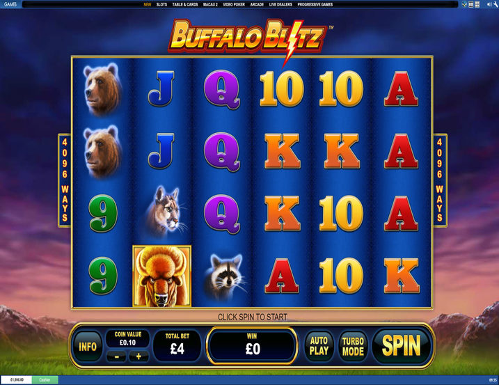 Buffalo Blitz