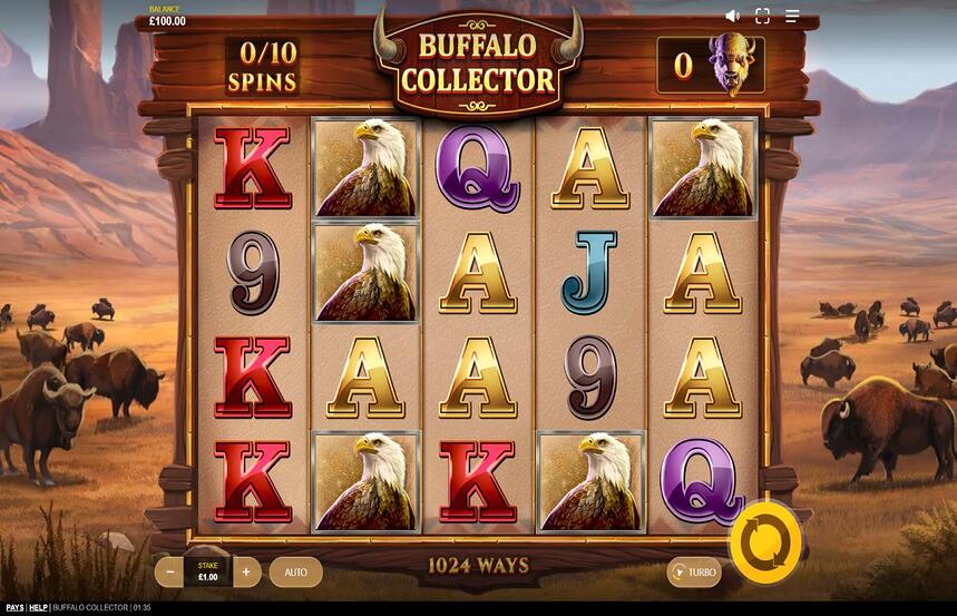 Buffalo Collector