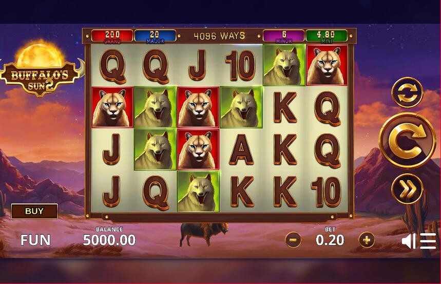 Buffalos Sun 2