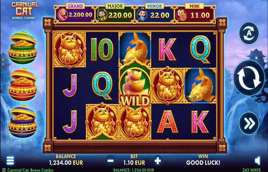 Carnival Cat Bonus Combo