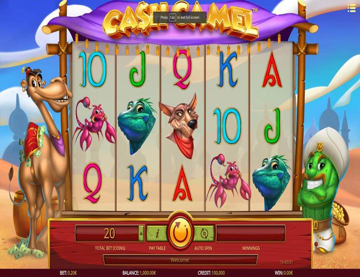 Cash Camel