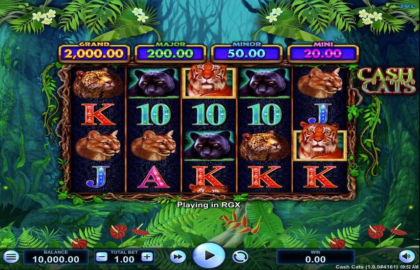 Cash Cats