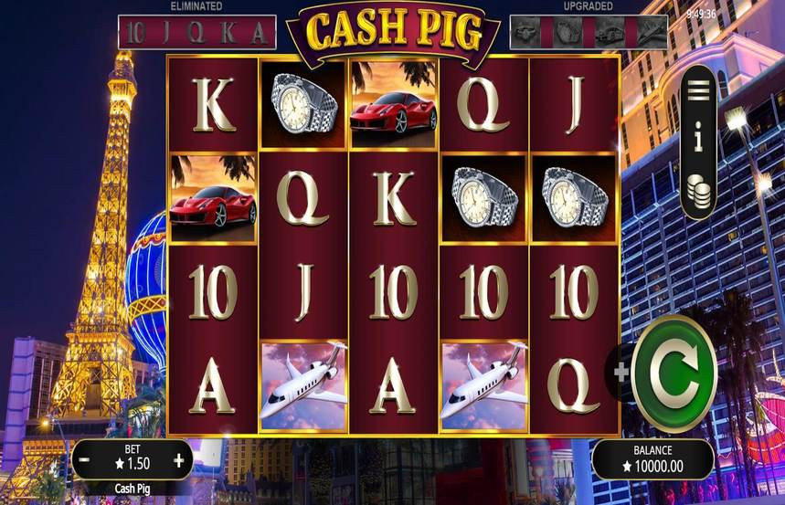 Cash Pig