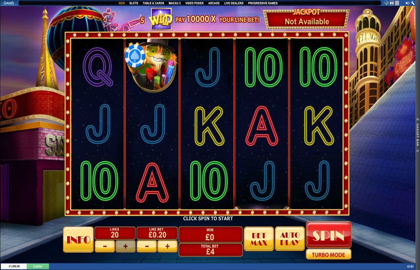 Cat In Vegas