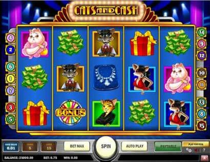 Cats and Cash