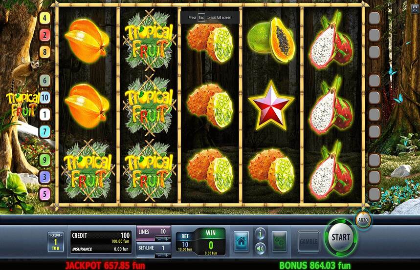 ChampionStudio Tropical Fruit
