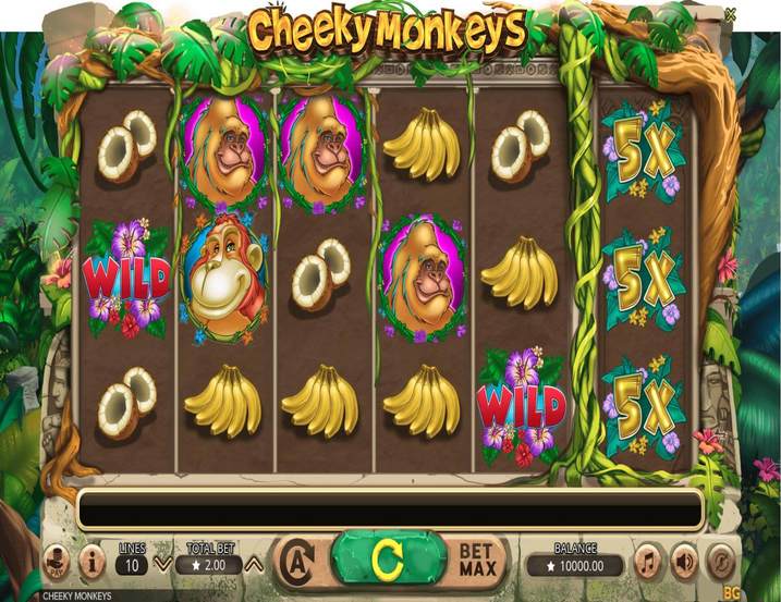 Cheeky Monkeys