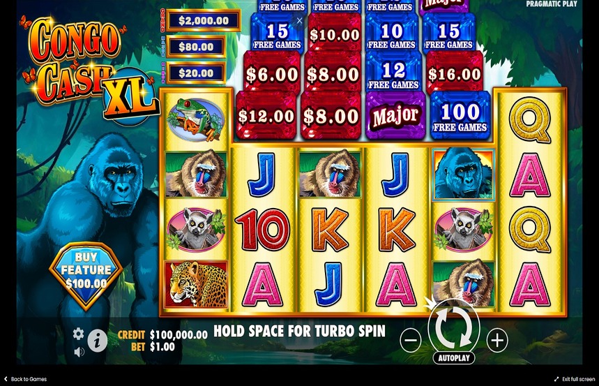 Congo Cash XL