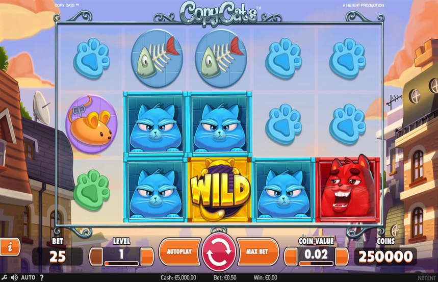 Copy Cats