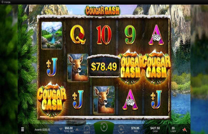 Cougar Cash