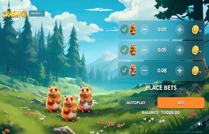 Crash Hamster Crash