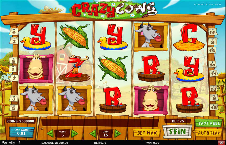 Crazy Cows