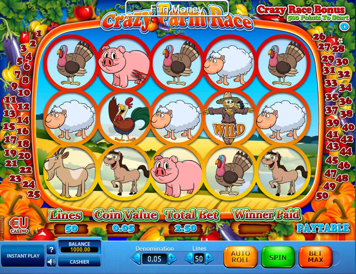 Crazy Farm Race