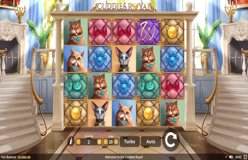 Cuddles Royal