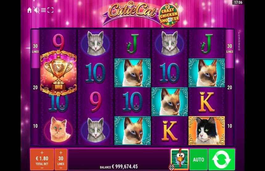 Cutie Cat Crazy Chicken Shooter