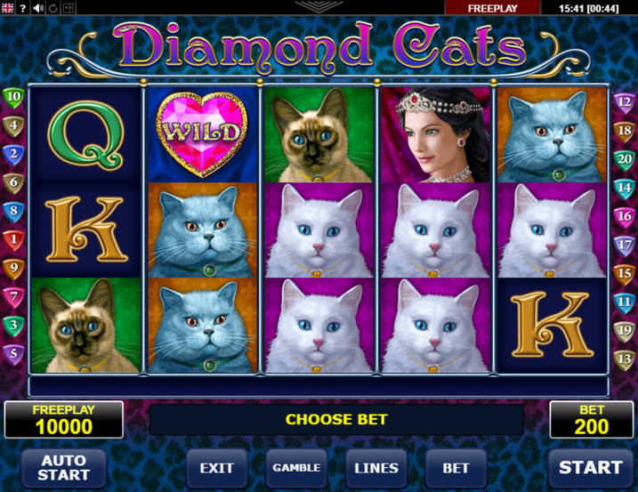 Diamond Cats