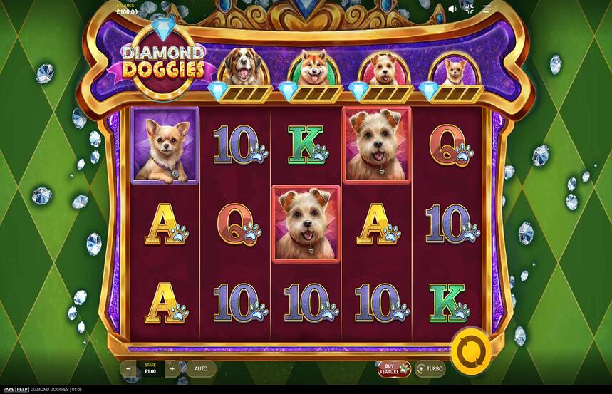 Diamond Doggies