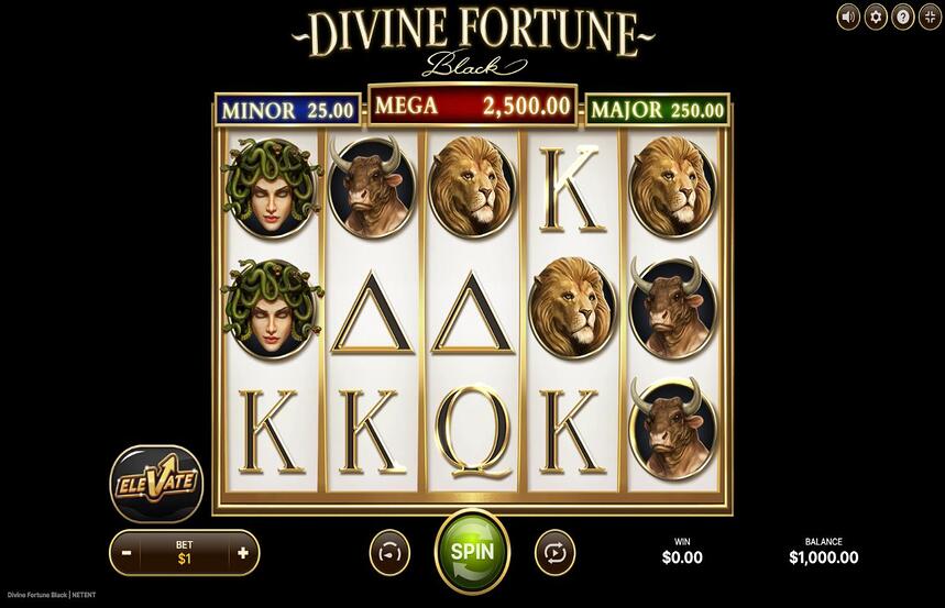 Divine Fortune Black