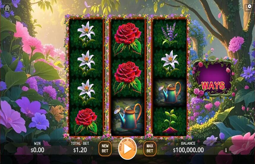 Divine Garden Fusion Reels