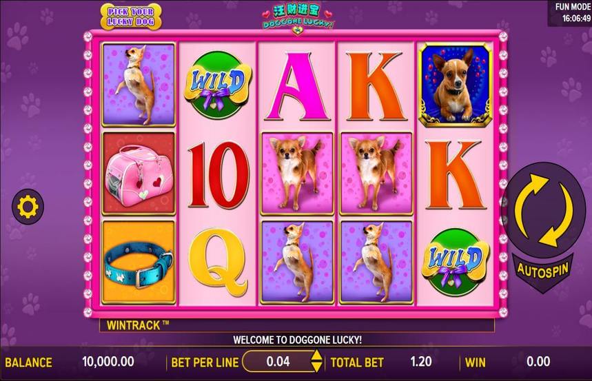 Doggone Lucky