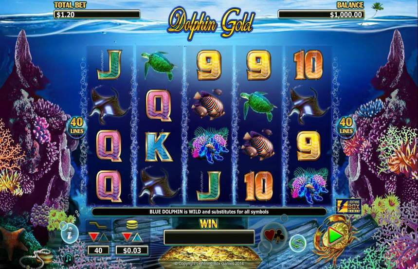 Dolphin Gold