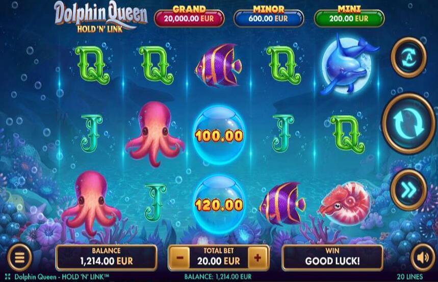 Dolphin Queen Hold n Link