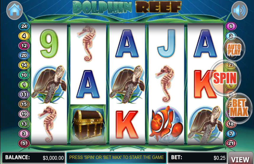 Dolphin Reef
