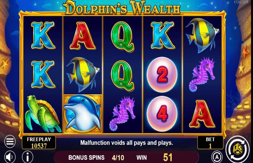 Dolphins Wealth