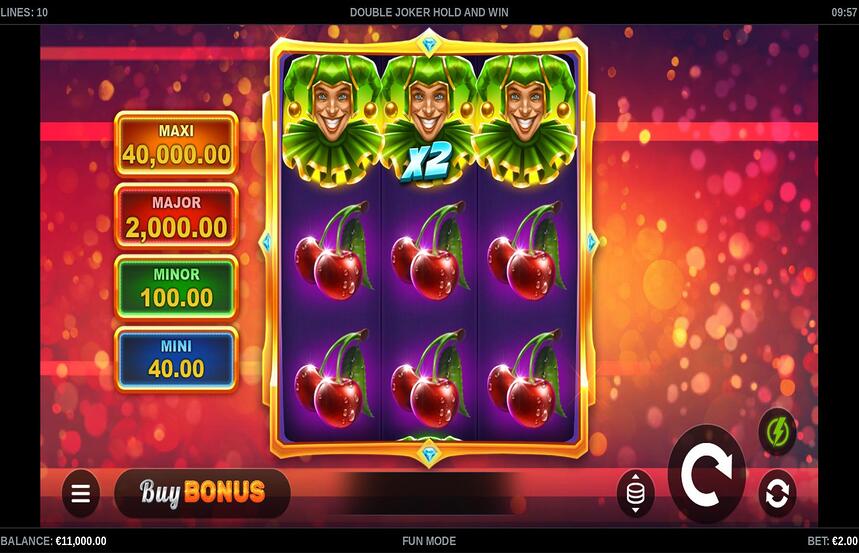 Double Joker Hold and Win