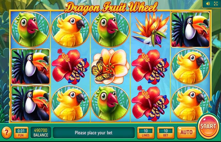 Dragon Fruit Wheel