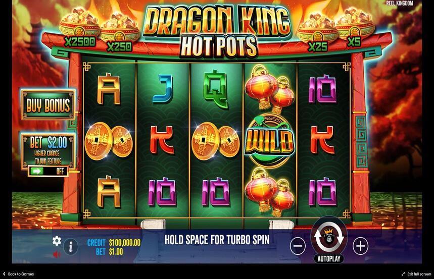 Dragon King Hot Pots