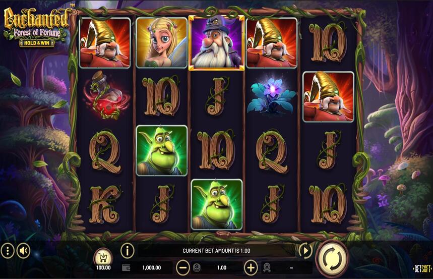 Enchanted Forest of Fortune