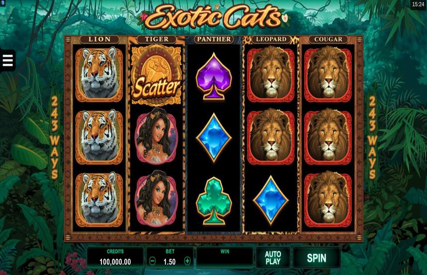Exotic Cats