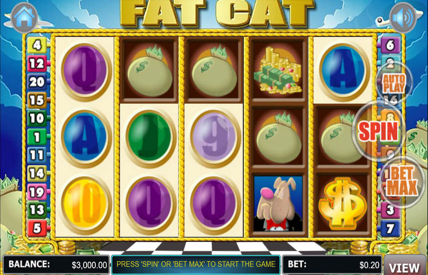 Fat Cat