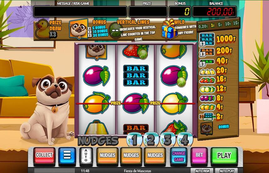 Fiesta de Mascotas