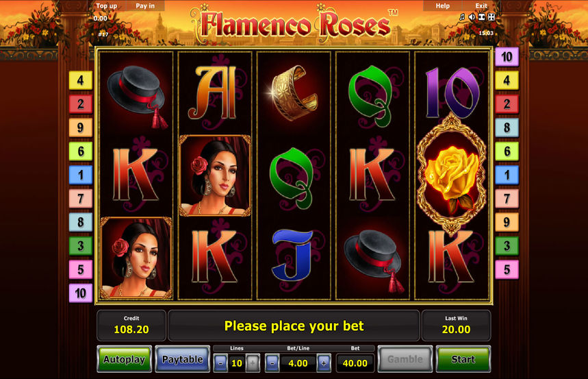 Flamenco Roses