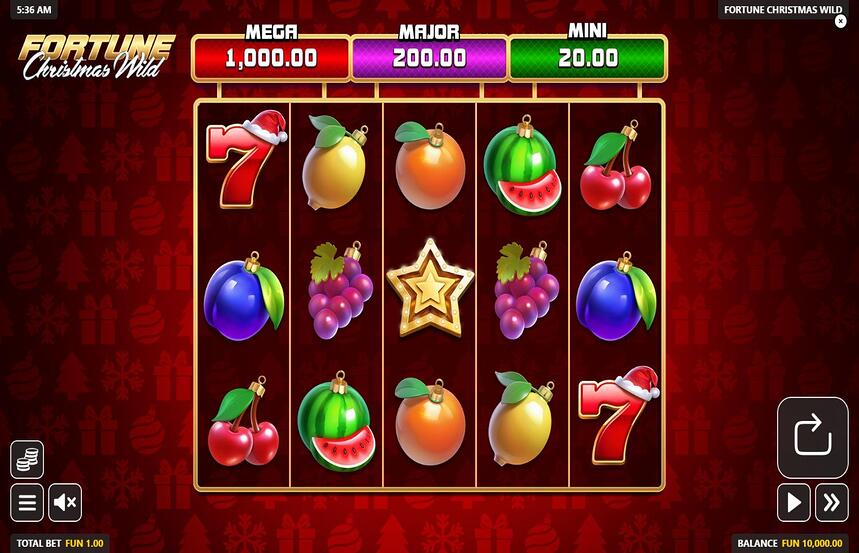 Fortune Christmas Wild