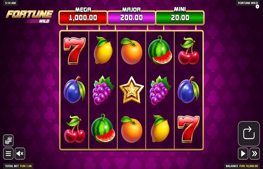 Fortune Wild