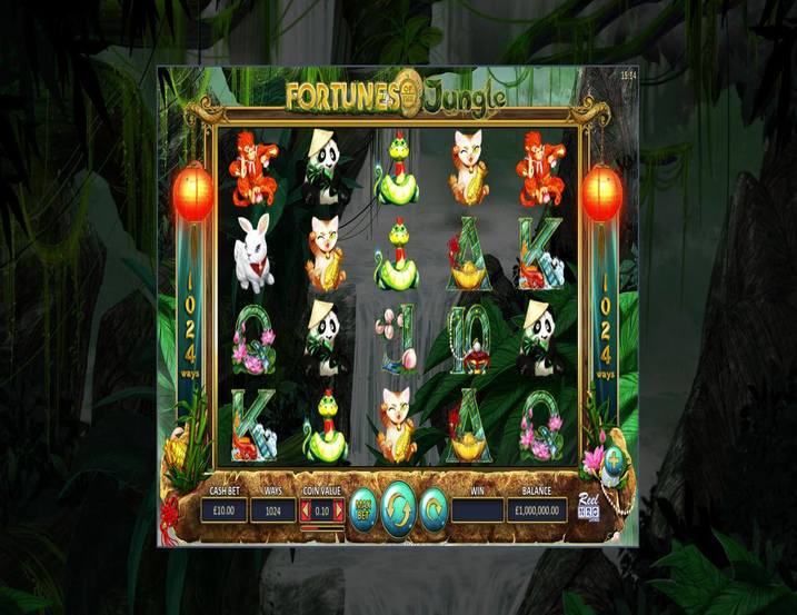 Fortunes of the Jungle