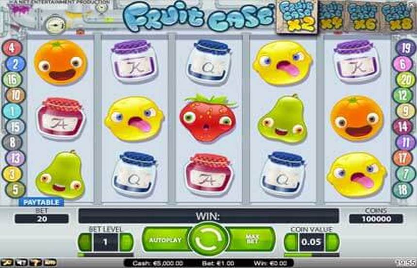 Fruit Case