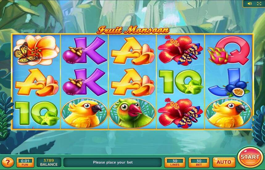 Fruit Monsoon