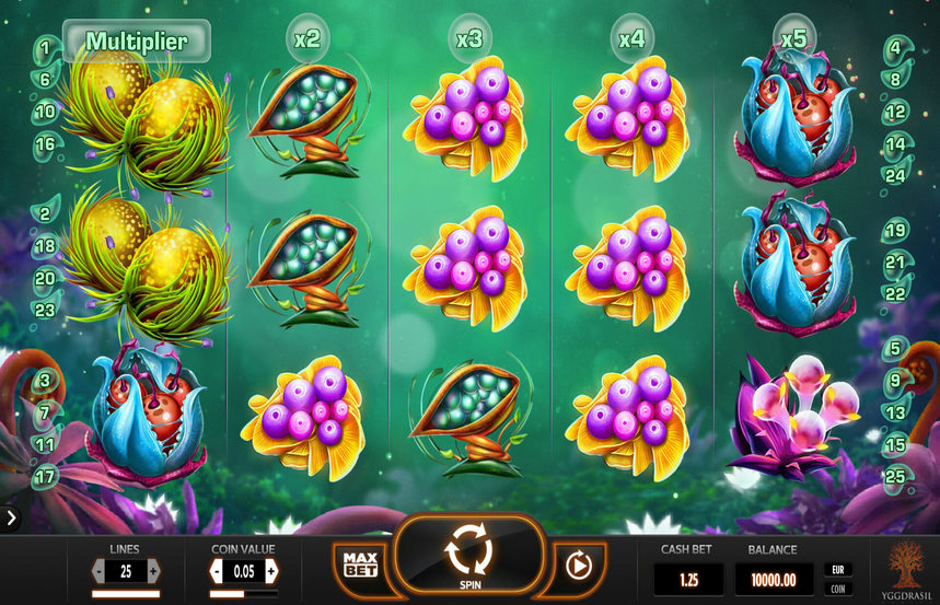 Fruitoids