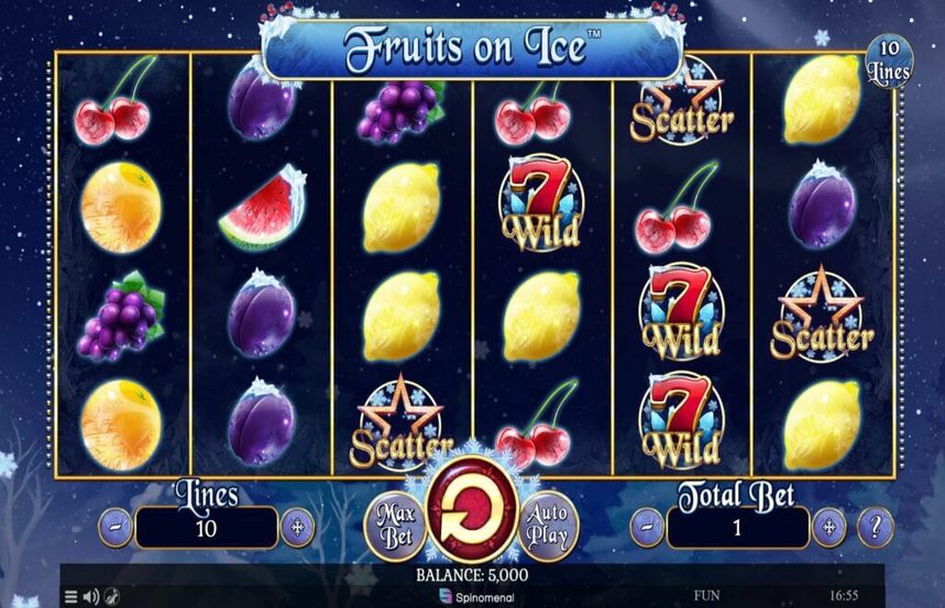 Fruits on Ice