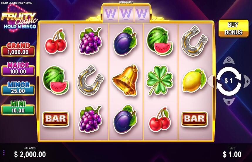 Fruity Classic Hold n Bingo