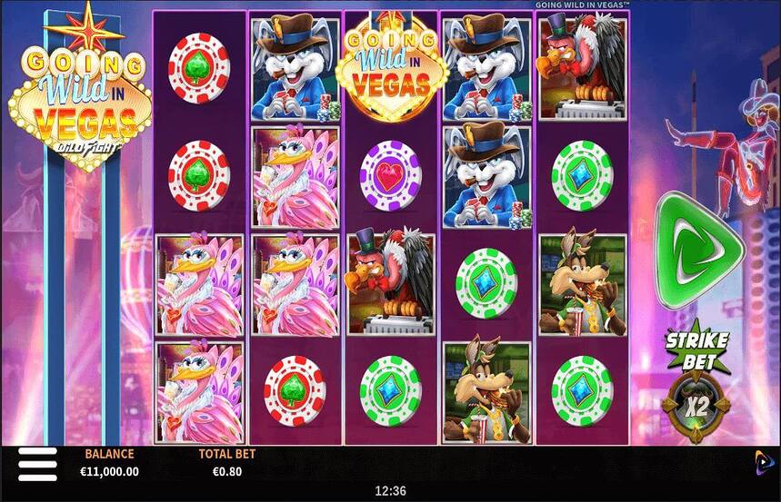 Going Wild in Vegas Wild Fight