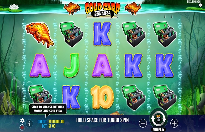 Gold Carp Bonanza
