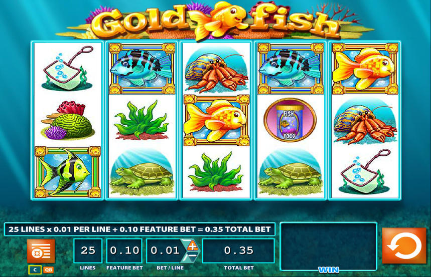 Gold Fish