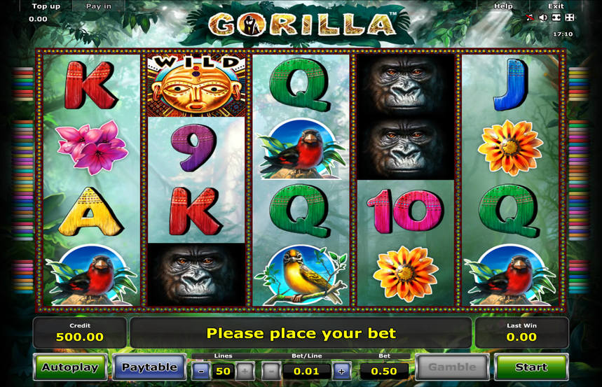 Gorilla