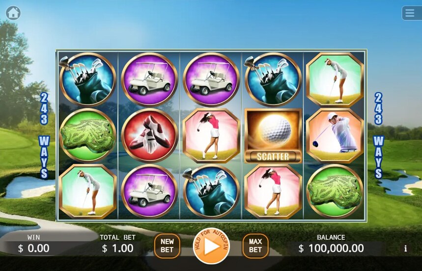 Hole In One